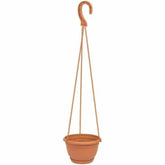 Prosperplast Argo Planter 16x16x10cm - Terracotta